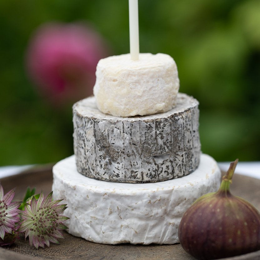 Three-tier celebration cheese cake with fig and flowers