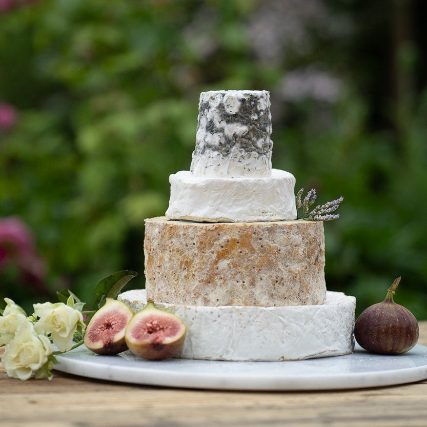 Four-tier celebration cheese cake decorated with figs and white flowers